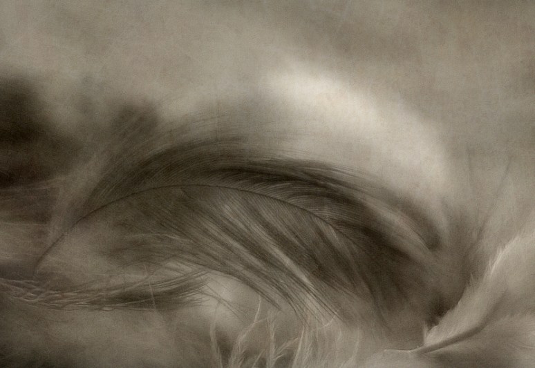 theclosestthingto-crazy